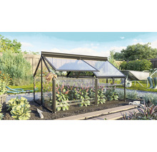 Ein kleines Gewächshaus mit Metallrahmen und Glasscheiben im Garten, mit zu öffnendem Dachfenster für den Anbau von Pflanzen.