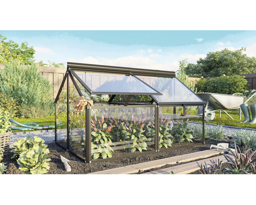 Ein kleines Gewächshaus mit Metallrahmen und Glasscheiben im Garten, mit zu öffnendem Dachfenster für den Anbau von Pflanzen.