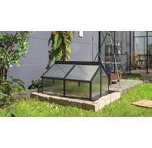 Ein kleines Frühbeet aus Metall mit lichtdurchlässigen Platten, platziert auf einem Steinpodest in einem Garten.