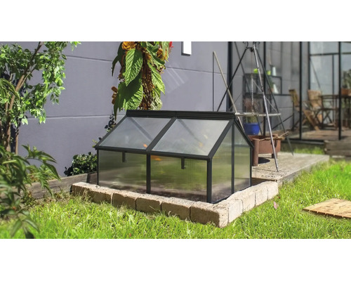 Ein kleines Frühbeet aus Metall mit lichtdurchlässigen Platten, platziert auf einem Steinpodest in einem Garten.