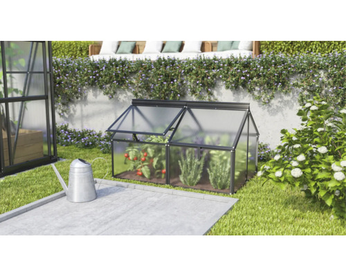 Ein kleines Frühbeet aus Kunststoff mit Aluminiumrahmen steht im Garten neben einer Gießkanne mit Tomatenpflanzen im Inneren.