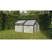 Ein kleines Gewächshaus mit Aluminiumrahmen und Hohlkammerplatten steht im Garten vor einer Hecke.