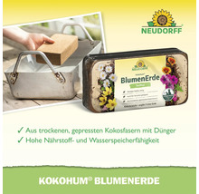 Neudorff Kokohum Blumenerde in gepresster Blockform aus Kokosfasern, torffrei und leicht, ergibt sieben Liter Pflanzenerde.