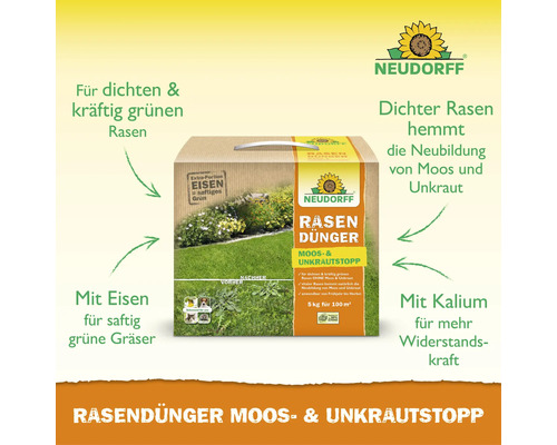 Neudorff Rasendünger mit Moos- und Unkrautstopp im Karton zur Rasenpflege für 100 Quadratmeter.