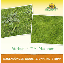 Neudorff Logo mit Vergleichsbildern vor und nach der Anwendung von Rasendünger mit Moos und Unkrautstopp zur Rasenpflege.