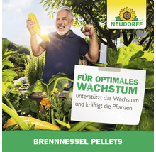 Ein glücklicher Mann präsentiert eine Zucchini in seinem Garten neben Neudorff Brennnessel Pellets für optimales Pflanzenwachstum.
