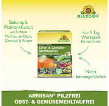 Neudorff Armisan PilzFrei Obst- und GemüseMehltauFrei zur Bekämpfung von echtem Mehltau an Pflanzen mit einer Wartezeit von einem Tag bis zur Ernte.