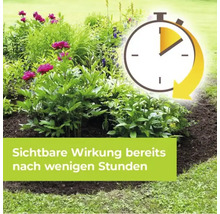 Gartenbeet mit blühenden Pfingstrosen und ein Stoppuhr Symbol das schnelle Wirkung signalisiert