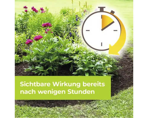 Gartenbeet mit blühenden Pfingstrosen und ein Stoppuhr Symbol das schnelle Wirkung signalisiert