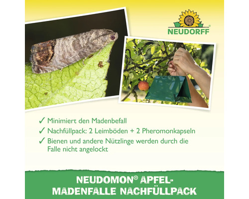 Neudorff Neudomon Apfelmadenfalle Nachfüllpack mit zwei Leimböden und zwei Pheromonkapseln zur Bekämpfung von Apfelwicklern an Obstbäumen.