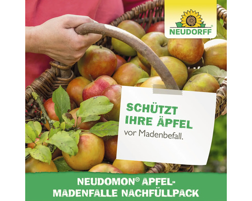 Neudorff Neudomon Apfelmadenfalle Nachfüllpack zum Schutz von Äpfeln vor Madenbefall in einem Korb voller Äpfel