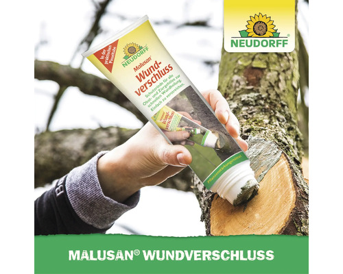 Neudorff Malusan Wundverschluss Tube zur Wundbehandlung von Obst und Ziergehölzen durch Auftragen mit Pinselaufsatz.