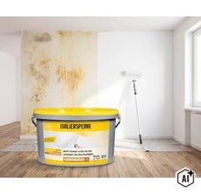Ein Eimer Hornbach Isoliersperre für die Wandgestaltung zur Abdeckung von Flecken, mit einer Wandhälfte im Vorher und Nachher Vergleich. (Image AI modified or generated)