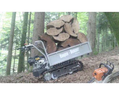 Raupen Dumper mit Holzstämmen und Kettensäge im Wald