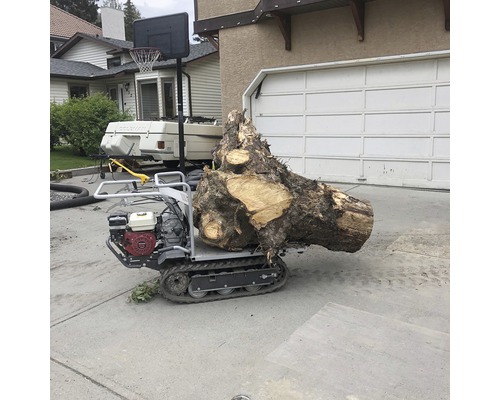 Raupenwagen mit Baumstumpf vor Garage