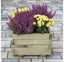 Holzpflanzkasten mit Heidekraut und Chrysanthemen