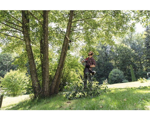 Gartenarbeiter mit Hochentaster beim Baumschnitt im Garten.