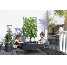 Zwei Kinder pflanzen in einen Pflanzkasten auf einer Terrasse mit Rankhilfe und Tomatenpflanze.