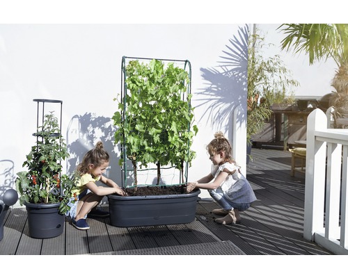 Zwei Kinder pflanzen in einen Pflanzkasten auf einer Terrasse mit Rankhilfe und Tomatenpflanze.