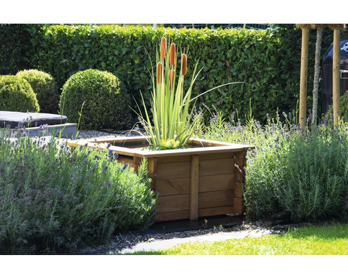 Quadratischer Pflanzkasten aus Holz mit Wasserpflanzen im Garten
