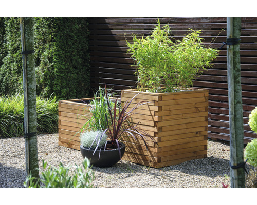 Gartenszene mit Pflanzen in zwei hölzernen Pflanzkästen und einem Topf