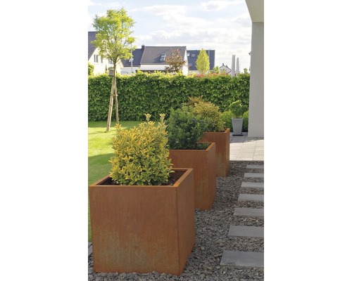 Drei Pflanzkästen aus Metall im Garten mit Pflanzen