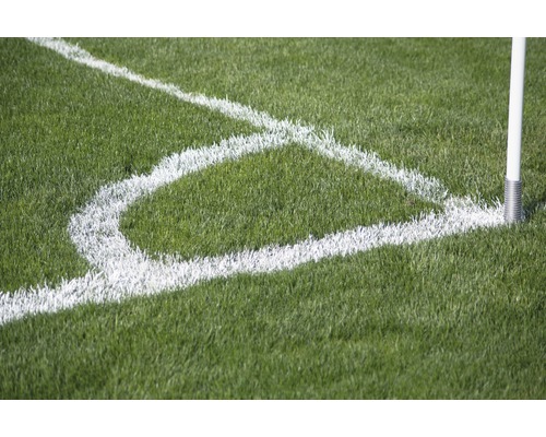 Fußballfeld Ecke mit Eckfahne und Markierung