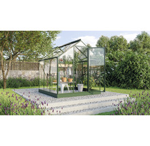 Gewächshaus im Garten mit Pflanzen und Gartenwerkzeugen