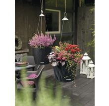 Zwei hängende Pflanzgefäße mit Blumen auf einer Terrasse.