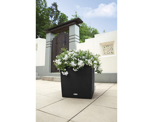 Schwarzer Pflanzkübel mit weißen Blumen im Garten