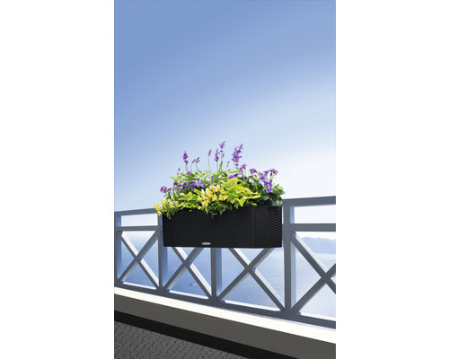 Blumenkasten mit Blumen auf einem Balkongeländer