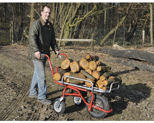 Mann transportiert Holz mit einer motorbetriebenen Schubkarre im Garten.