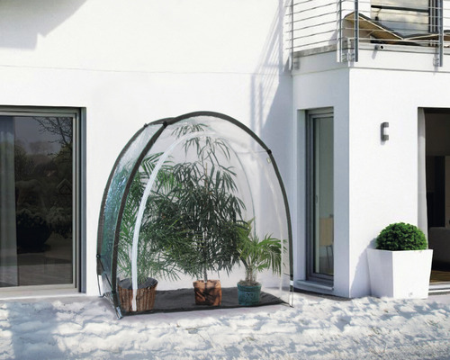 Gewächshaus im Garten mit Pflanzen unter der transparenten Abdeckung.