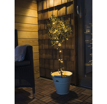 Dekorativer Baum mit Lichtern im Topf auf einer Terrasse