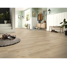 Kronotex Laminat Exquisit Plus Kashmir Eiche Beige Eiche Landhausdiele 1380 x 244 x 8 mm