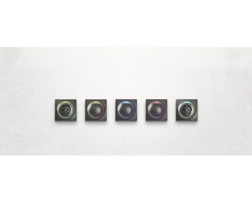 Fünf Steckdosen mit unterschiedlichen farbigen Lichtringen aufgereiht an einer Wand