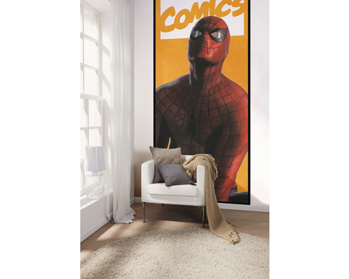 Dekoratives Zimmer mit Sesseln, Kissen, Decke und Spider-Man-Poster