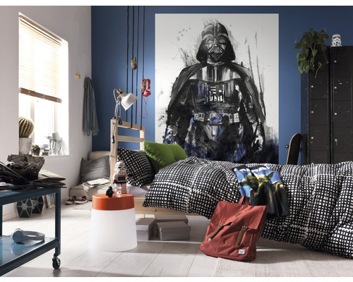 Jugendzimmer mit Star Wars Wandbild, Bett und Möbeln