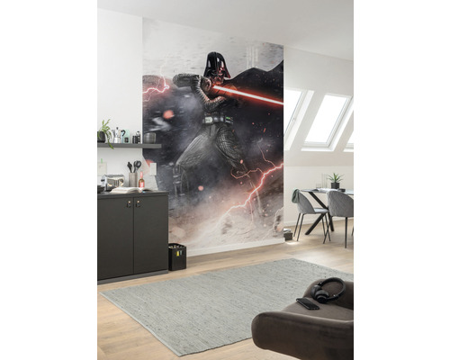 Wohnraum mit einer Fototapete von einer Star Wars Figur an der Wand.