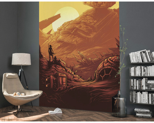 Star Wars Wandbild mit Wüstenlandschaft, Raumschiffen und einer weiblichen Figur