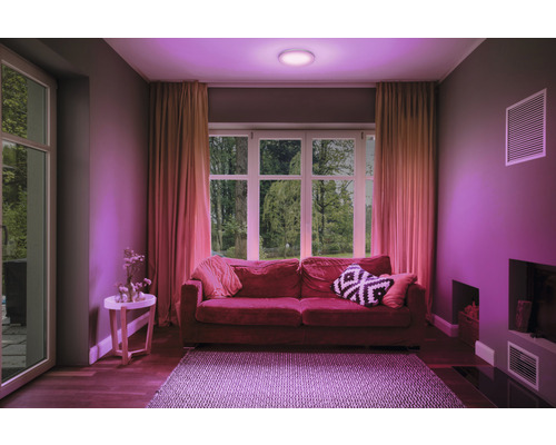 Wohnzimmer mit Sofa, Teppich, Vorhängen, Fenster und Deckenleuchte