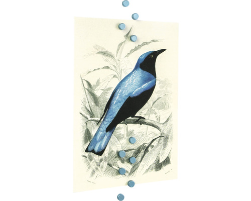 Illustration eines Vogels auf Papier mit Magneten befestigt