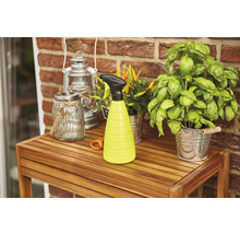 Gartenszene mit Sprühflasche, Laterne und Pflanzen auf einem Holztisch