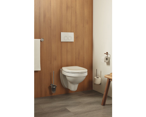 Badezimmer Szene mit wandhängendem WC, Betätigungsplatte und Toilettenpapierhalter