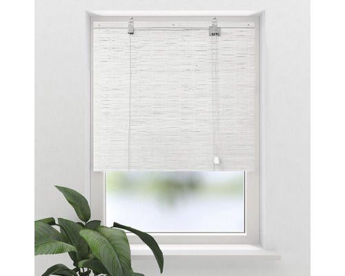 Soluna Bambus-Rollo flach weiss 60x160 cm Soluna Bambus-Rollo flach weiss 60x160 cm