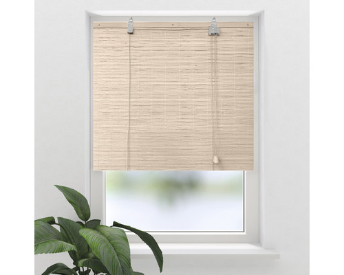 Soluna Bambus-Rollo flach natur 60x160 cm Soluna Bambus-Rollo flach natur 60x160 cm