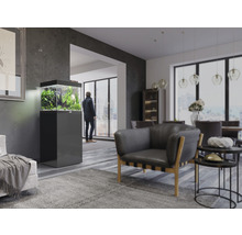 Modernes Wohnzimmer mit Aquarium auf Unterschrank, Sessel und Esstisch