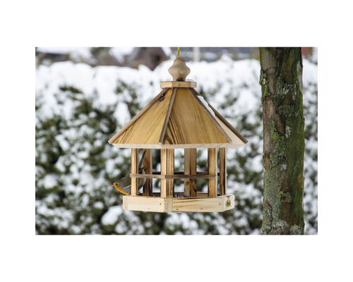 Hängendes Vogelhaus aus Holz mit Vogel