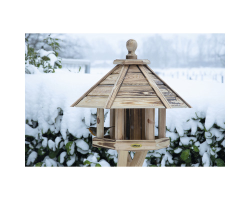Holzvogelhaus mit Vogel im Wintergarten