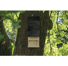 Fledermauskasten dobar 19,5 x 14 x 53,5 cm-thumb-2 Fledermauskasten dobar 19,5 x 14 x 53,5 cm-thumb-2